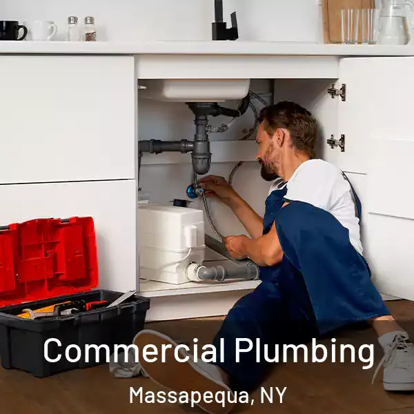  Commercial Plumbing Massapequa, NY